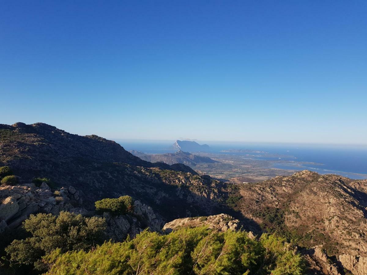 Villa Dettori San Teodoro  Exteriör bild